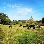 Koziula - I Lesne Na Kaszubach