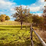 Koziula - I Lesne Na Kaszubach Przywidz (Gdansk)