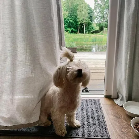 Koziula - I Lesne Na Kaszubach *