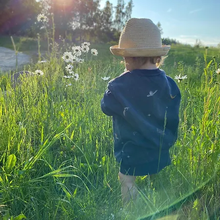 Koziula - I Lesne Na Kaszubach Orman Evi *