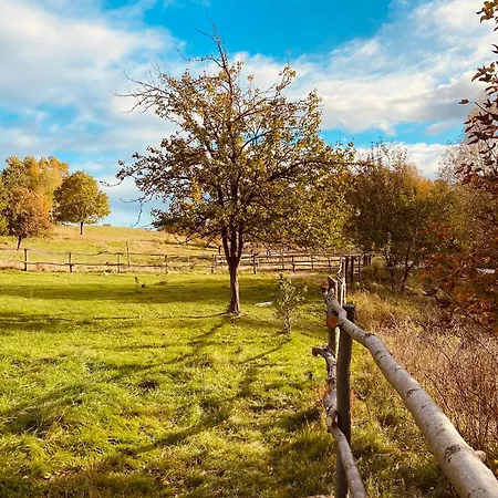 Koziula - I Lesne Na Kaszubach Przywidz (Gdansk)