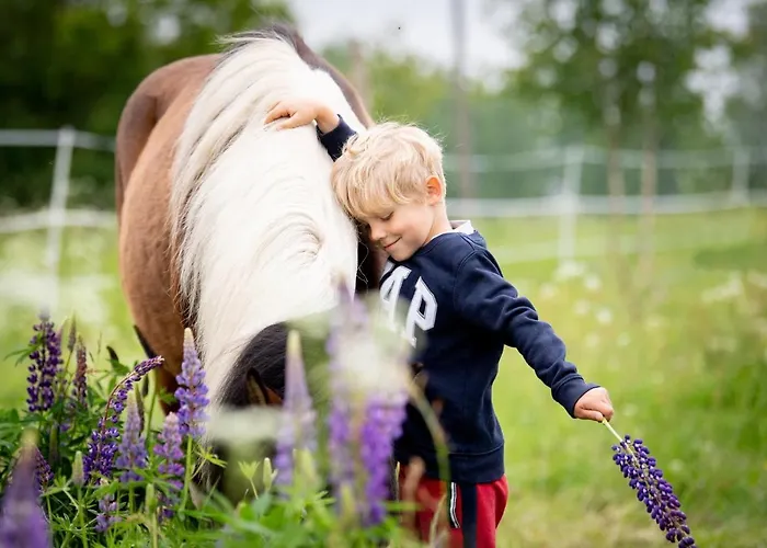 Koziula - I Lesne Na Kaszubach Przywidz (Gdansk)
