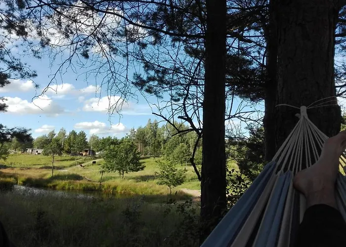 Jaktstuga Koziula - I Lesne Na Kaszubach *