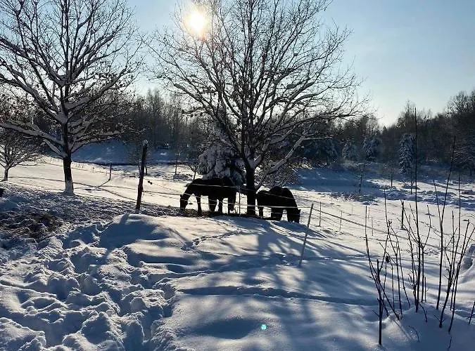 Jaktstuga Koziula - I Lesne Na Kaszubach *