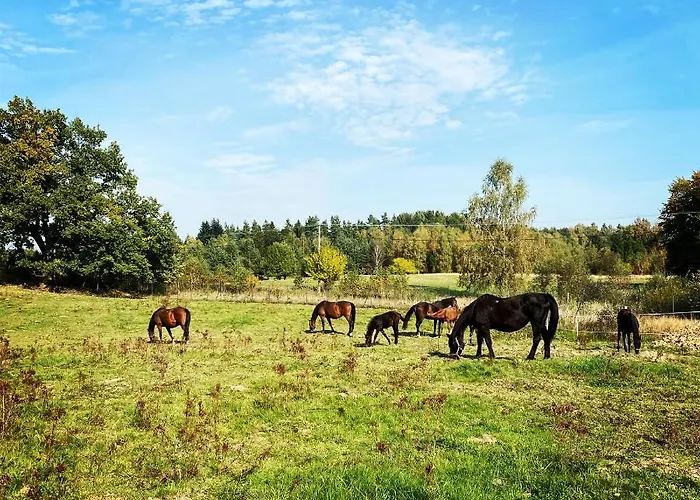 Koziula - I Lesne Na Kaszubach