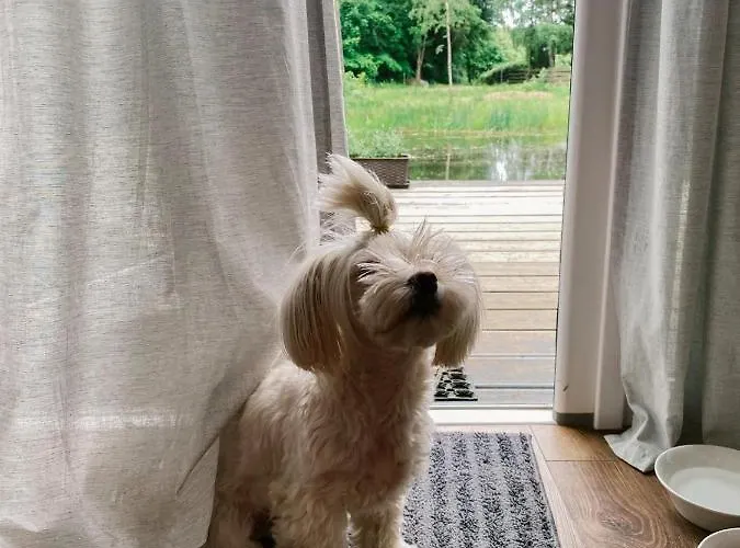 Koziula - I Lesne Na Kaszubach *