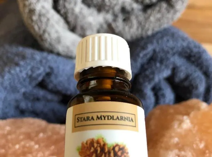 Koziula - I Lesne Na Kaszubach Jaktstuga