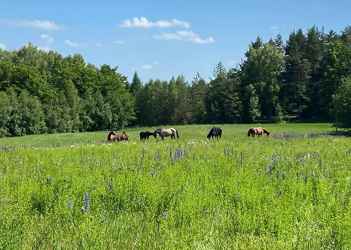 Koziula - I Lesne Na Kaszubach