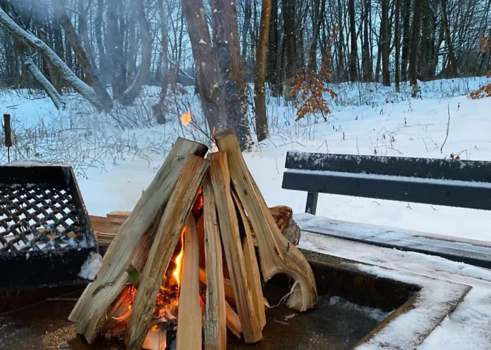 Koziula - I Lesne Na Kaszubach * Przywidz (Gdansk)