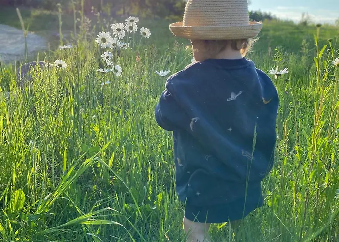 Koziula - I Lesne Na Kaszubach Jaktstuga *