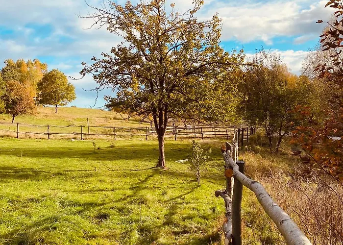 Koziula - I Lesne Na Kaszubach Przywidz (Gdansk)